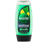 Radox Men 3v1 Osvěžení Mentol a citrus sprchový gel pro muže 225 ml