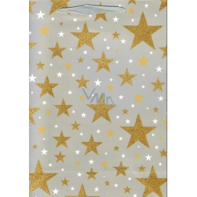 Ditipo Dárková papírová taška Glitter 26,4 x 13,6 x 32,7 cm šedá, zlaté hvězdy QAB