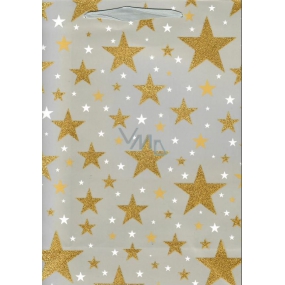 Ditipo Dárková papírová taška Glitter 26,4 x 13,6 x 32,7 cm šedá, zlaté hvězdy