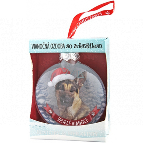 Albi Skleněná vánoční ozdobička se zvířátky - Německý ovčák 7,5 cm x 8 cm x 3,6 cm