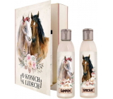 Bohemia Gifts O koních a lidech sprchový gel 200 ml + šampon na vlasy 200 ml, kniha kosmetická sada