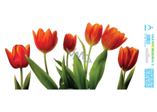 Arch Celoroční samolepka, okenní fólie bez lepidla Pás červených tulipánů 35 x 16 cm