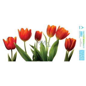 Arch Celoroční samolepka, okenní fólie bez lepidla Pás červených tulipánů 35 x 16 cm