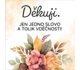 Albi Magnetka Děkuji. Jen jedno slovo a tolik vděčnosti! 6,5 x 6,5 cm