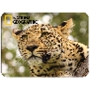 Prime3D magnet - Leopard 9 x 7 cm