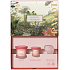 Payot Roselift Collagen Jour denní liftingový krém 50 ml + Roselift Collagen Regard oční liftingová péče 15 ml + Gua Sha růženín, kosmetická sada pro ženy