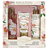 Jeanne en Provence Pivoine Féérie - Pivoňková víla krém na ruce 75 ml + tělové mléko 250 ml + sprchový olej 250 ml, kosmetická sada