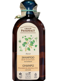 Green Pharmacy Březový dehet a Zinek šampon proti lupům 350 ml