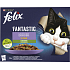 Felix Fantastic kapsičky pro kočky výběr se zeleninou, 12 × 85 g