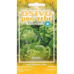 Seva - Flora Salát hlávkový ozimý Humil 0,5 g