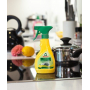 Frosch Eko Citron čistič na indukční a sklokeramické desky rozprašovač 300 ml