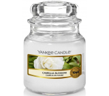 Yankee Candle Camellia Blossom - Kamélie vonná svíčka Classic malá sklo 104 g