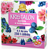 Agro Kristalon Rododendron vodorozpustné univerzální hnojivo 0,5 kg pro 250 l zálivky