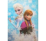 Nekupto Dárková kraftová taška 46 x 36 x 10,5 cm Disney Frozen