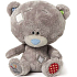 Me to You Tiny Tatty Teddy Medvídek s rolničkou 16 cm