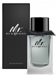 Burberry Mr. Burberry toaletní voda pro muže 150 ml