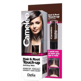 Delia Cosmetics Cameleo Hair & Root Korektor zakrývá kořeny a šedé vlasy Brown 4,6 g