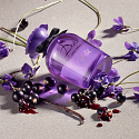 Dolce & Gabbana Dolce Violet toaletní voda pro ženy 75 ml