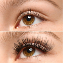 Essence What the fake! umělé řasy 04 Dramatic Length 1 pár