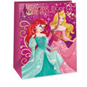 Ditipo Dárková papírová taška 33 x 10,2 x 45,7 cm Disney Princess, Song Door