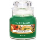 Yankee Candle Alfresco Afternoon - Alfresco odpoledne vonná svíčka Classic malá sklo 104 g