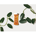 Payot My Payot Peeling Eclat mikro exfoliační primer pro dennodenní efekt nové pokožky, rozjasňující pleťová péče 125 ml