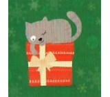 Nekupto Vánoční kartičky na dárky Kočka s dárkem 6,5 x 6,5 cm 6 kusů