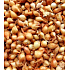 Štutgartská, sazečka cibule 25 kg