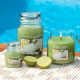 Yankee Candle Vanilla Lime - Vanilka s limetkou vonná svíčka Classic střední sklo 411 g