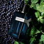 Yves Saint Laurent Y Intense parfémovaná voda pro muže 100 ml