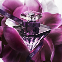 Lancome La Nuit Trésor Le Parfum parfémovaná voda pro 50 ml
