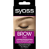 Syoss Brow Tint barva na obočí Světle hnědý, 17 ml