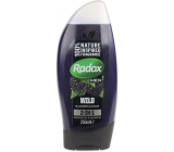 Radox Men Feel Wild Blackberry & Ginger 2v1 sprchový gel a šampon pro muže 250 ml