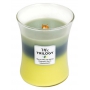WoodWick Trilogy Woodland Shade - Lesní stín vonná svíčka s dřevěným knotem a víčkem sklo střední 275 g