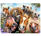 Prime3D pohlednice - Koně Selfie 16 x 12 cm