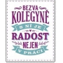 Albi Skládací taška na zip do kabelky s nápisem Kolegyně 42 x 41 x 11 cm
