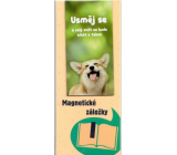 Albi Magnetická záložka do knížky Usměj se 8,7 x 4,4 cm