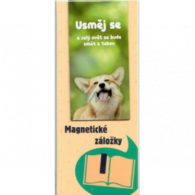 Albi Magnetická záložka do knížky Usměj se 8,7 x 4,4 cm