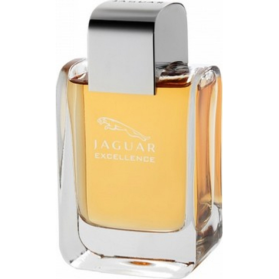 Jaguar Excellence Men toaletní voda 100 ml