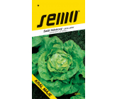 Semo Salát hlávkový Král máje - jarní, polní 0,4 g