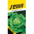 Semo Salát hlávkový Král máje - jarní, polní 0,4 g