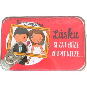 Albi Plechová kapsa na peníze Lásku si za peníze koupit nelze... 11 x 7 cm