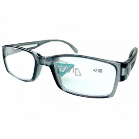 Berkeley Čtecí dioptrické brýle +2 plast šedé průhledné 1 kus MC2206