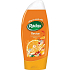 Radox Revive Mandarinka a citronová tráva sprchový gel 250 ml