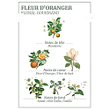 Panier des Sens Pomerančový květ sprchový gel 50 ml + tělové mléko 50 ml + toaletní voda 3,5 ml + krém na ruce 30 ml, cestovní dárková sada
