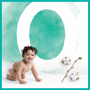 Pampers Harmonie velikost 3, 6 - 10 kg plenkové kalhotky 31 kusů