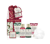 Baylis & Harding Zimní království mycí gel 100 ml + sprchový krém 100 ml + tělové mléko 50 ml + krém na ruce 50 ml + sůl do koupele 25 g + mycí houba, kosmetická sada pro ženy
