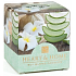 Heart & Home Zklidňující aloe Sojová vonná svíčka bez obalu hoří až 15 hodin 53 g