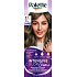 Palette Intensive Color Creme barva na vlasy 6-1 Ledový tmavě plavý 50 ml