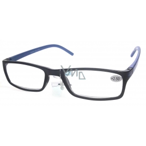 Berkeley Čtecí dioptrické brýle +2,5 plast černé modré stranice 1 kus MC2 ER4045